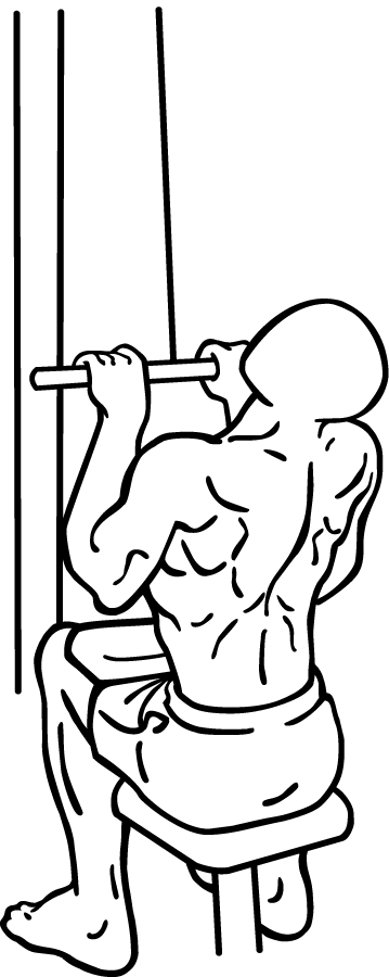 Close Grip Lat Pulldown