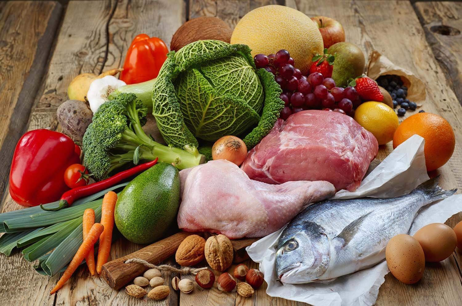 What is Paleo Diet