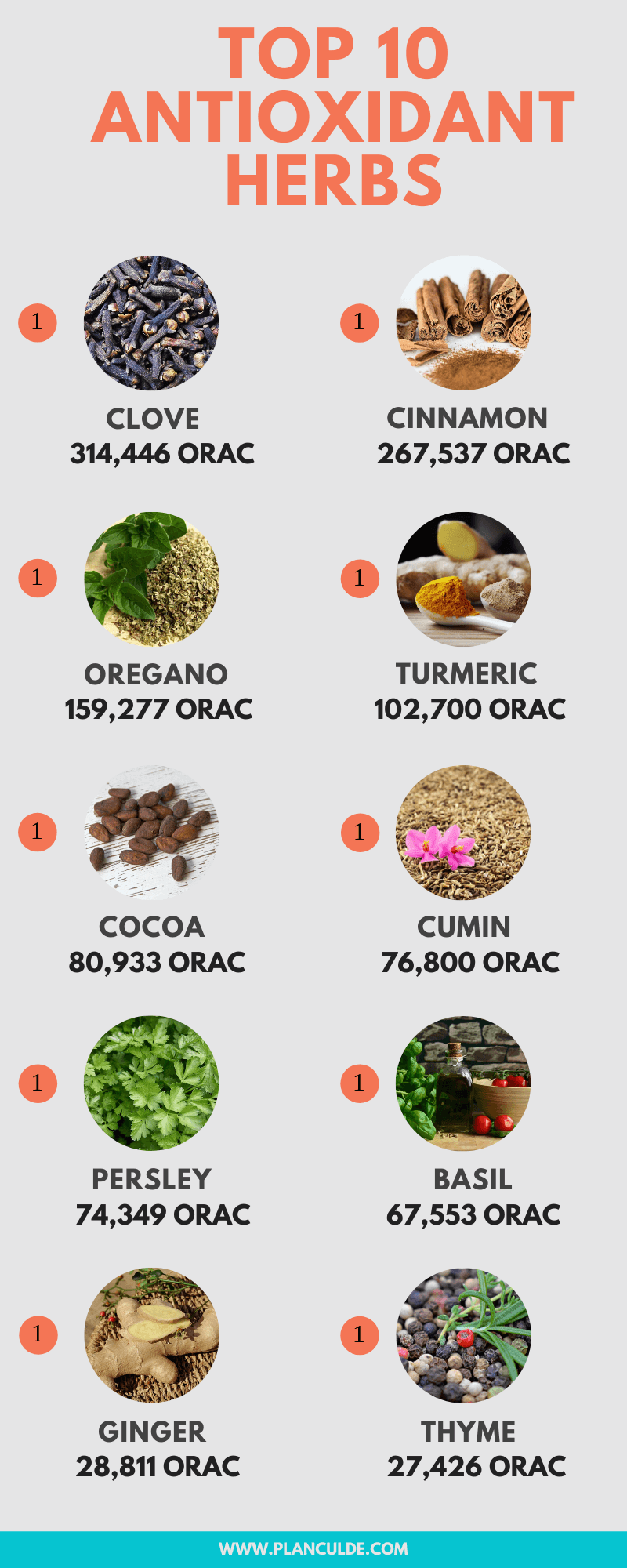 Antioxidant Foods List Of The Top 10 Antioxidant Foods And Herbs