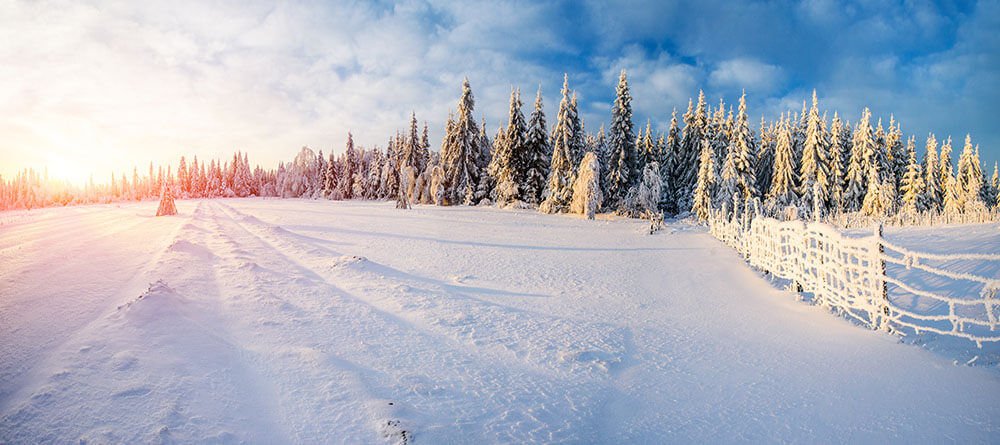 Winter Supplements Cold and Flu Winter Supplements Cold and Flu
