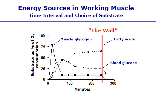 Best Carbohydrate Supplements for Endurance Athletes Best Carbohydrate Supplements for Endurance Athletes