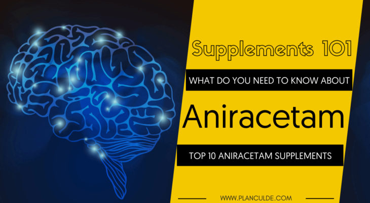 Best Aniracetam Supplements: Top 10 Aniracetam Brands Reviewed