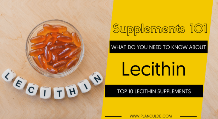 Best Lecithin Supplements: Top 10 Lecithin Brands Reviewed